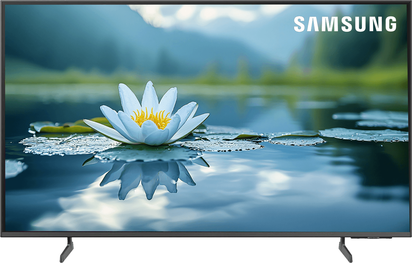 Samsung Smart TV